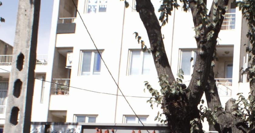 رادیولوژی مامو گرافی و سونوگرافی گلبرگ