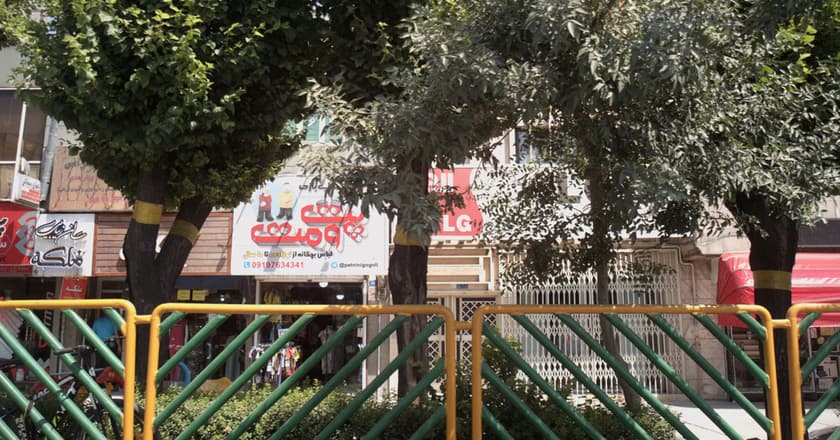 رادیولوژی وسونوگرافی