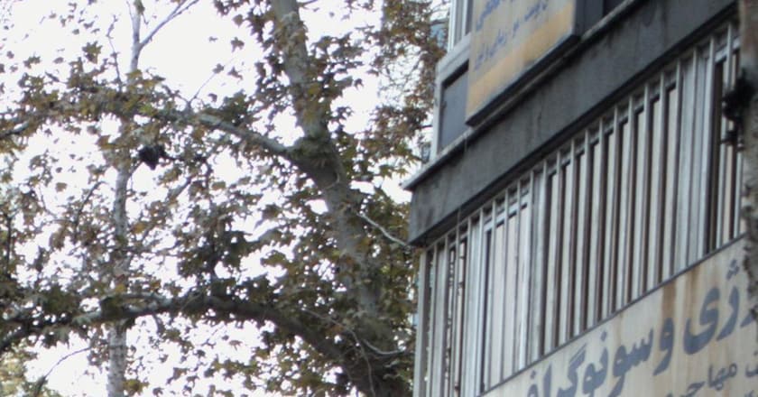 رادیولوژی و سنوگرافی پویا